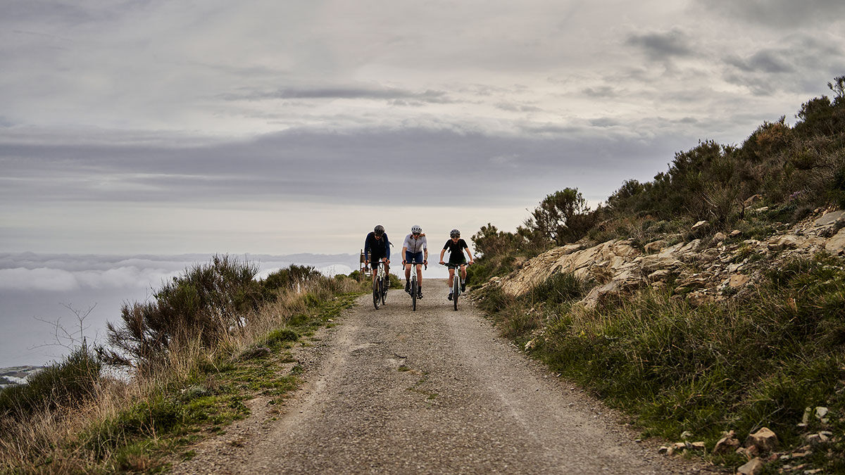 Bmw 3t gravel bike outlet